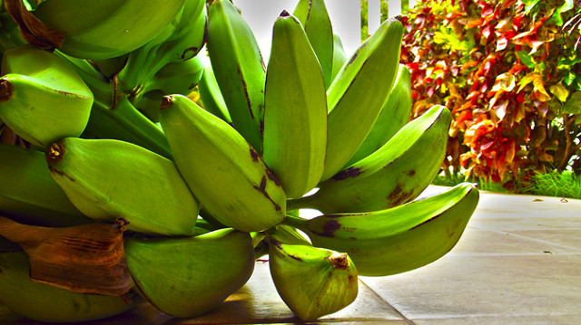 Diferencias entre plátano verde y topocho